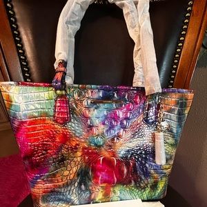 Brahmin Awestruck Asher